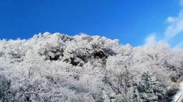 西安城市故事:从清晨到日暮,了解西安的每一面-知识星球平台