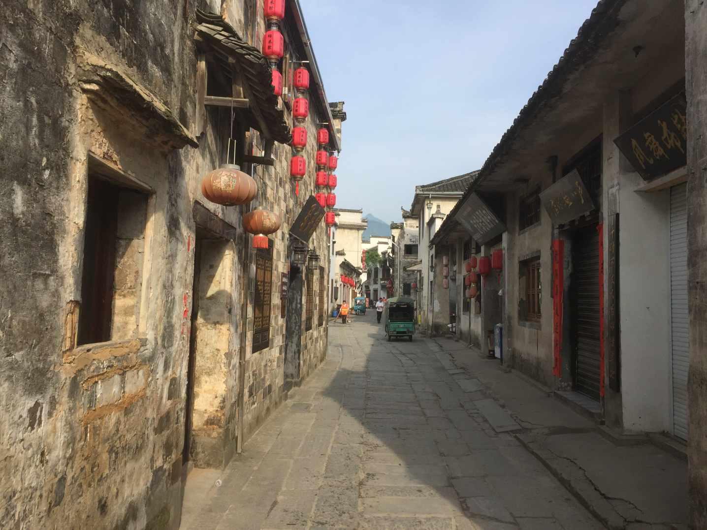解锁兔子用英语怎么说分享与交流的世界